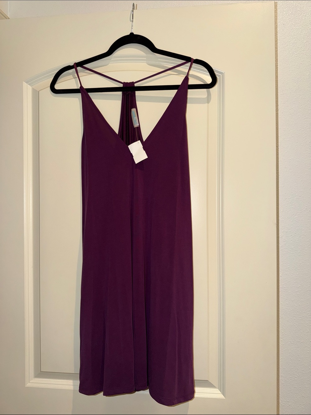 Plum Strappy V-Neck Mini Dress